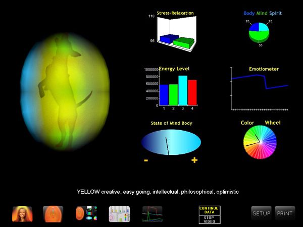 AVS7 animal view with a dog silhouette and aura colors, without chakra markers