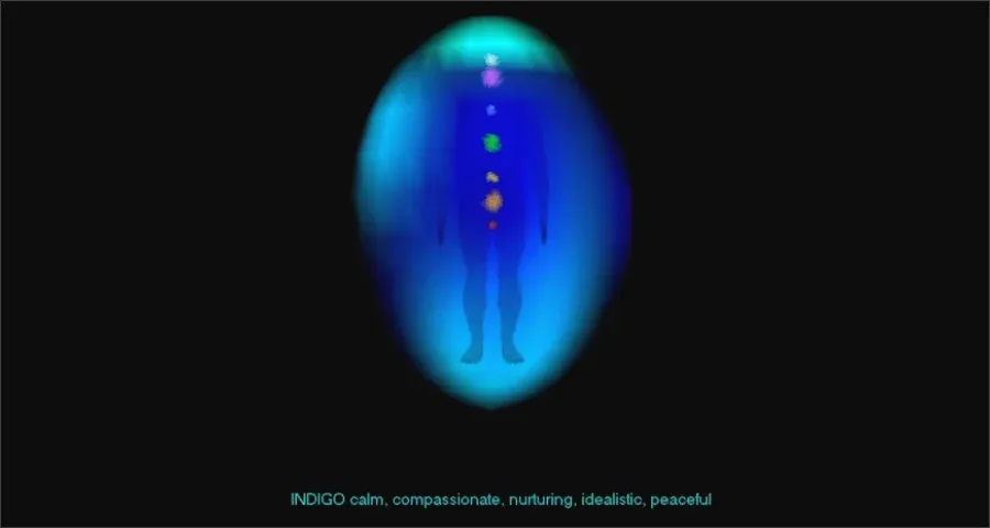 Aura Chakra Viewer
