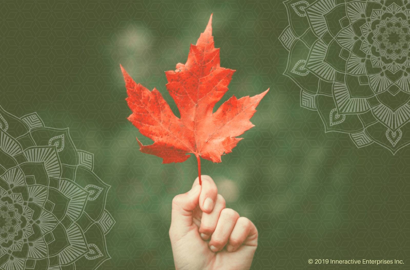 2019 Fall Equinox: When and How to Celebrate