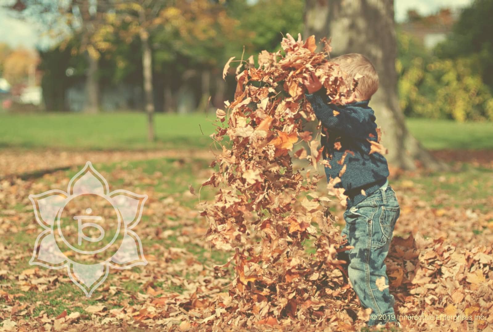 2019-fall-equinox-3