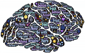 Meditation Mindfulness Reconditioning Mind Brain